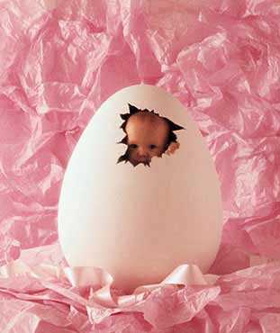 babyoutofegg.jpg